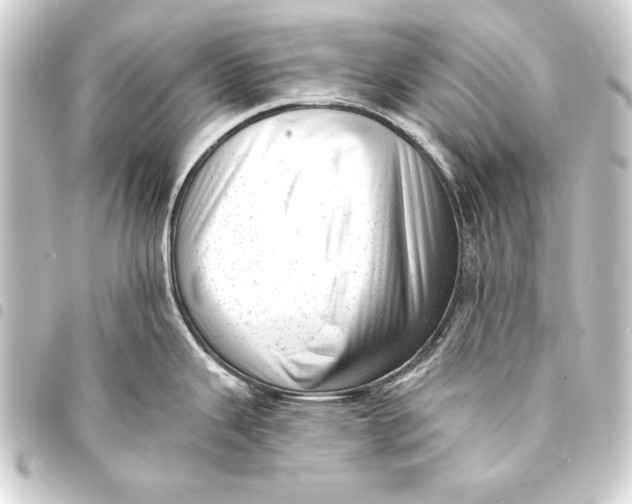 X0000093421343200711021007