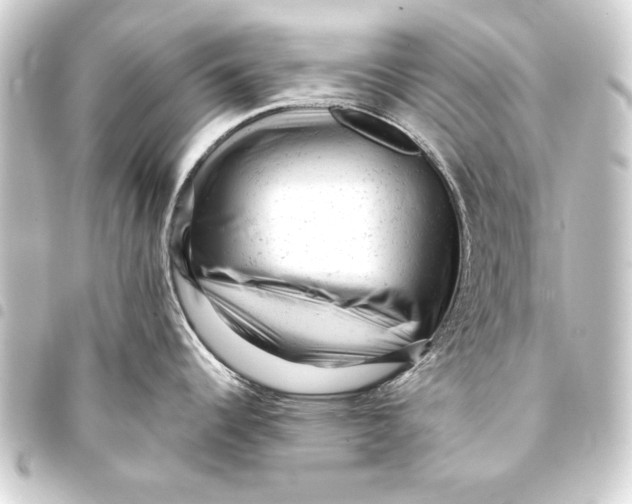 X0000093421344200711021007