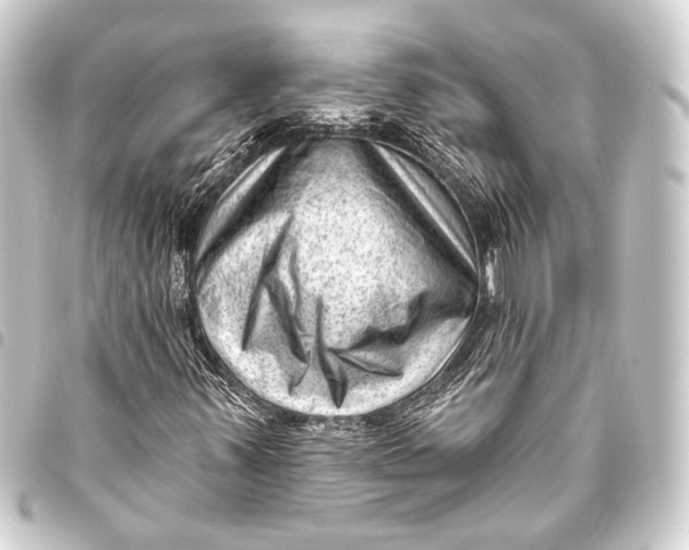 X0000093421347200711021007