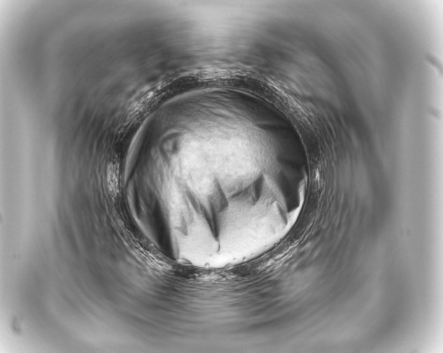 X0000093421348200711021007