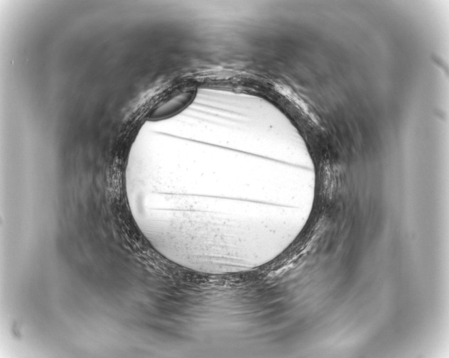 X0000093421350200711021007