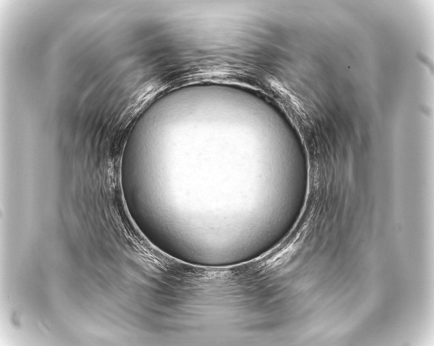 X0000093421353200711021006