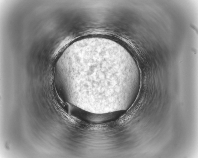 X0000093421359200711021006