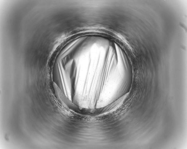 X0000093421360200711021006