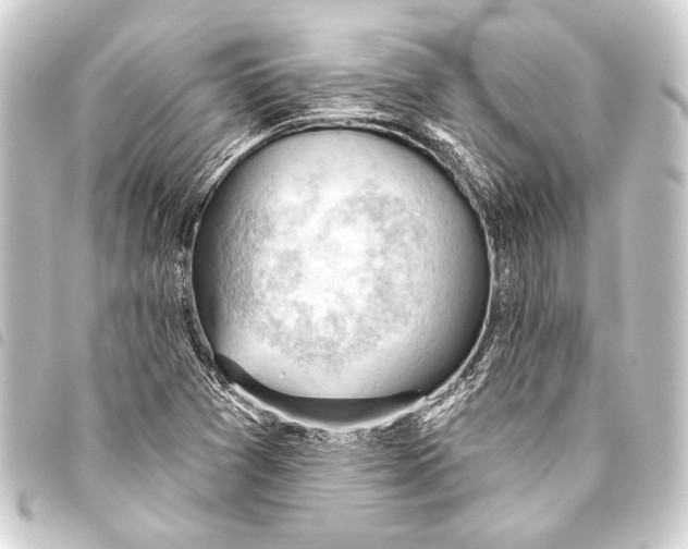 X0000093421361200711021006