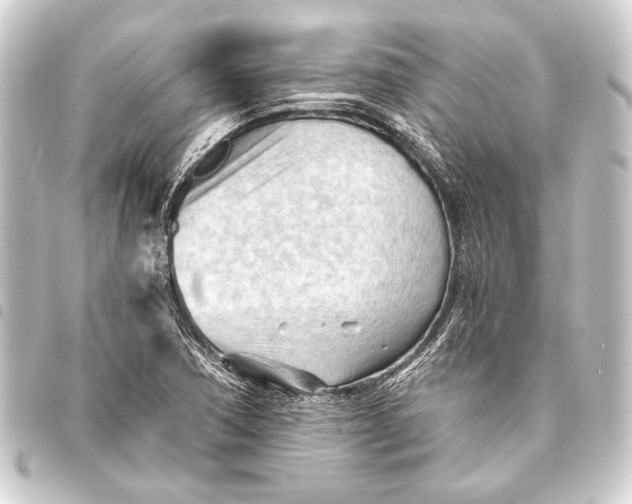 X0000093421362200711021006