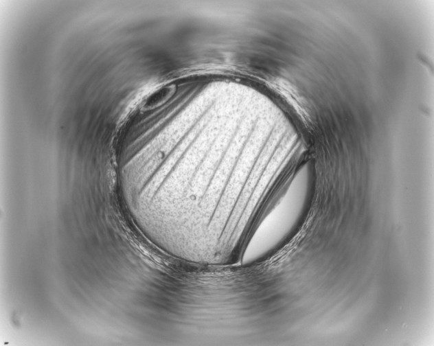 X0000093421363200711021006