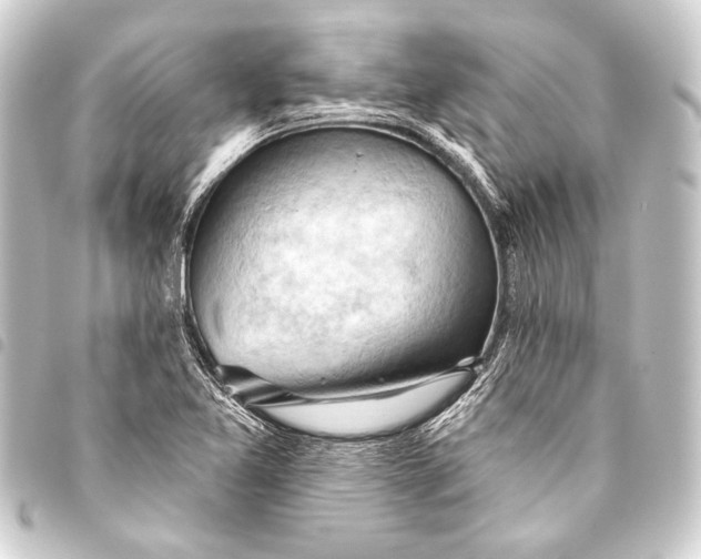 X0000093421365200711021006