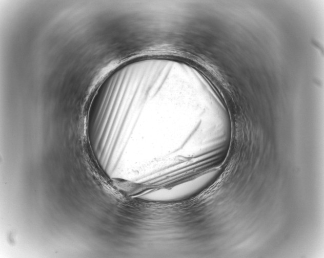 X0000093421366200711021006