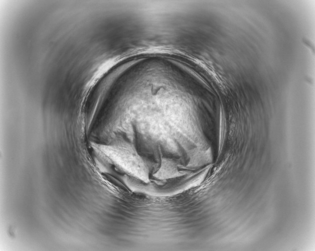 X0000093421367200711021006