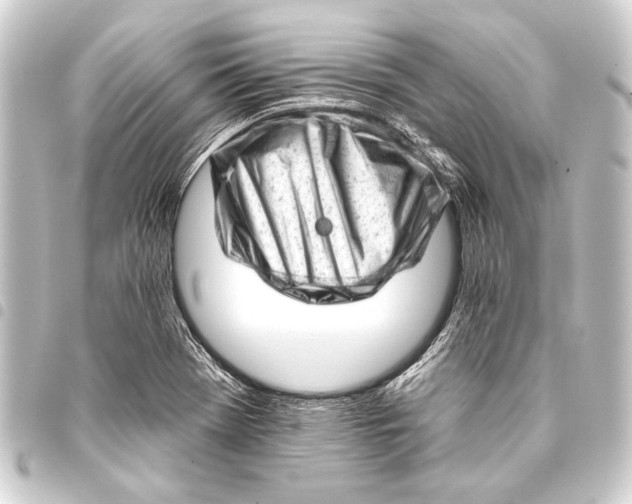 X0000093421369200711021006