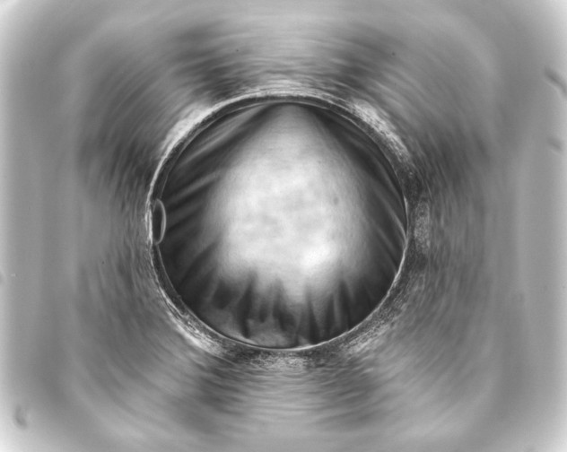 X0000093421372200711021006