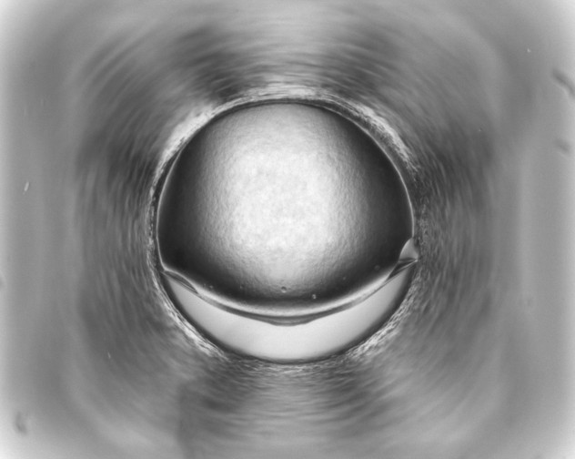 X0000093421373200711021006