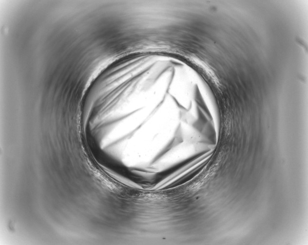 X0000093421374200711021006