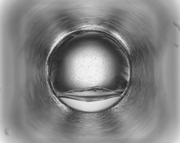 X0000093421376200711021006