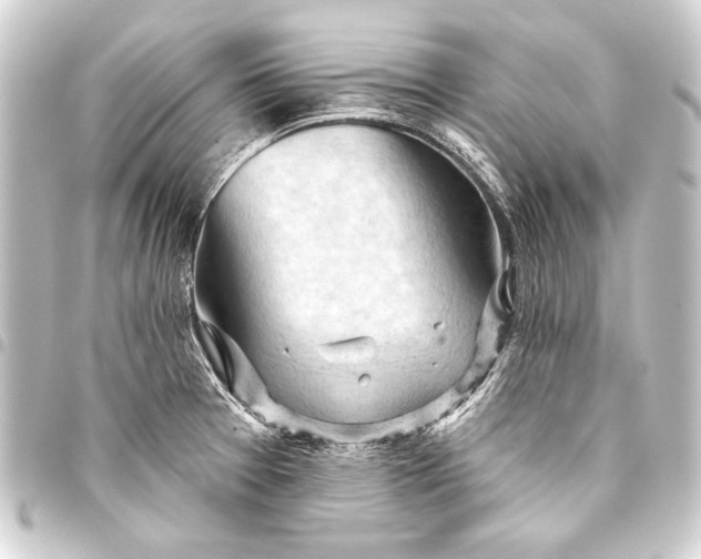 X0000093421377200711021006