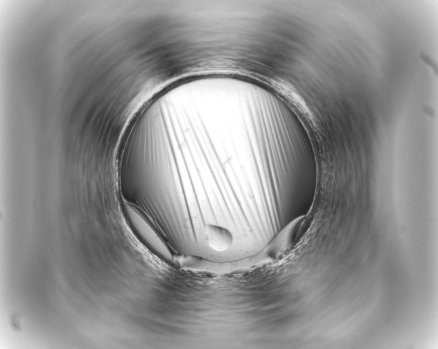 X0000093421380200711021006