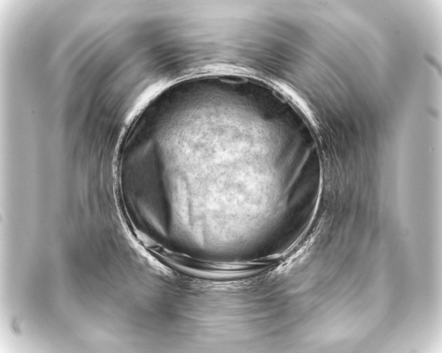 X0000093421381200711021006