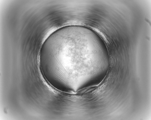 X0000093421383200711021006