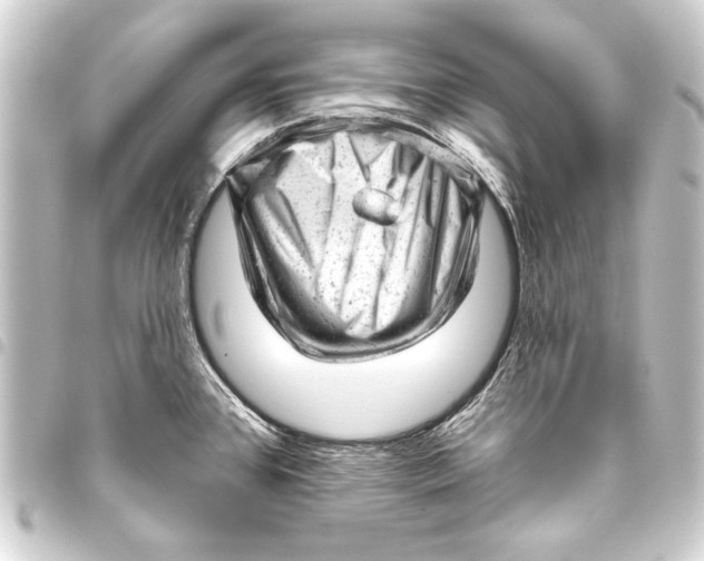 X0000093421384200711021006