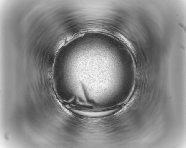 X0000093421385200711021006