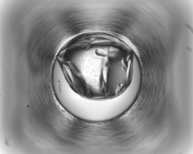 X0000093421388200711021006