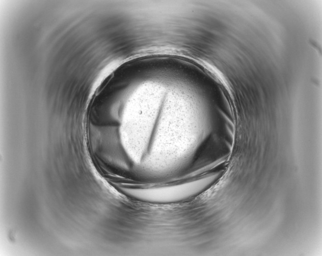 X0000093421389200711021006