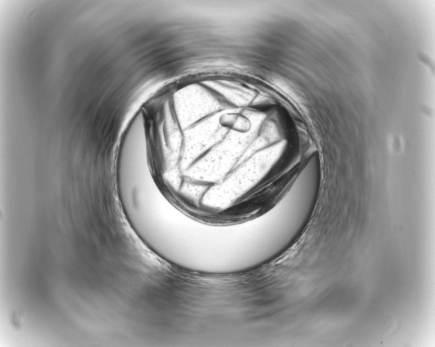 X0000093421392200711021006