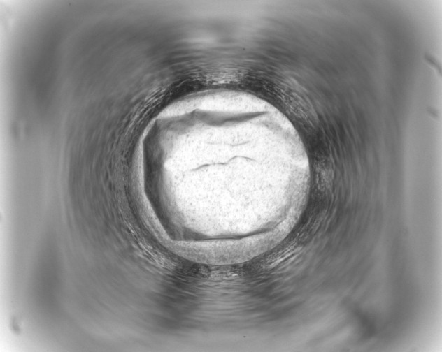 X0000093421393200711021005