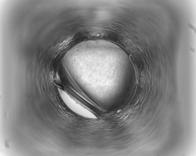 X0000093421394200711021005