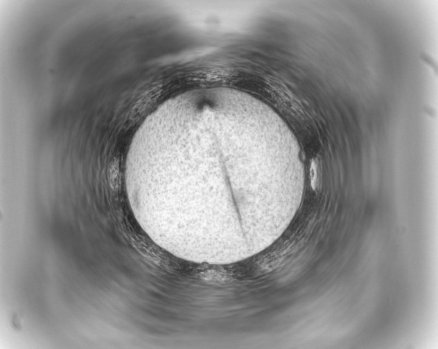 X0000093421395200711021005