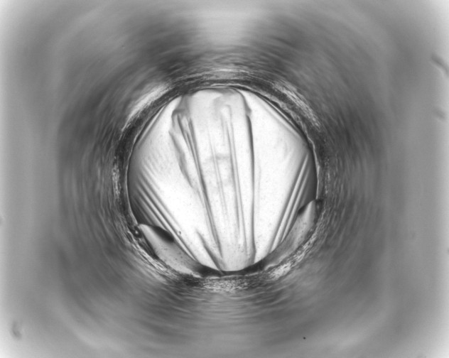 X0000093421402200711021006