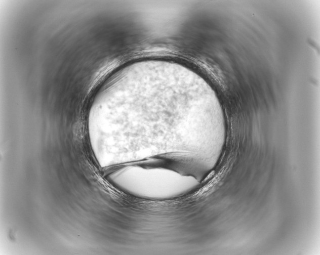 X0000093421405200711021006