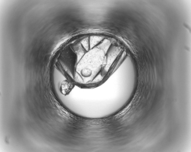 X0000093421406200711021006