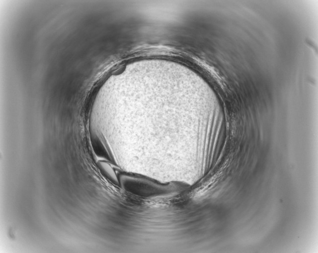 X0000093421407200711021006