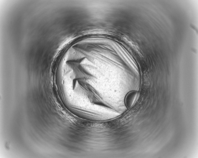 X0000093421408200711021006