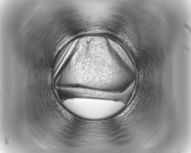 X0000093421409200711021006