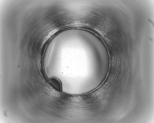 X0000093421410200711021006