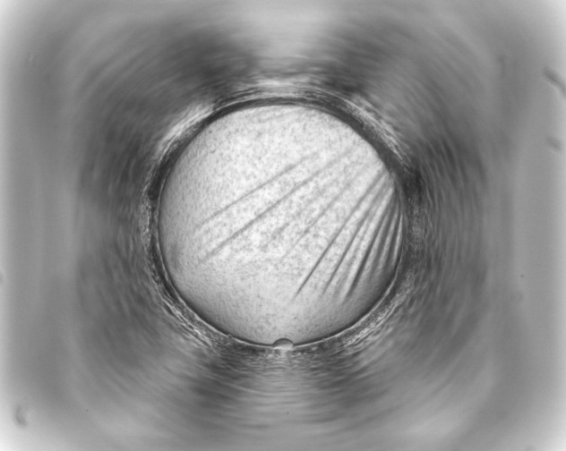 X0000093421411200711021006