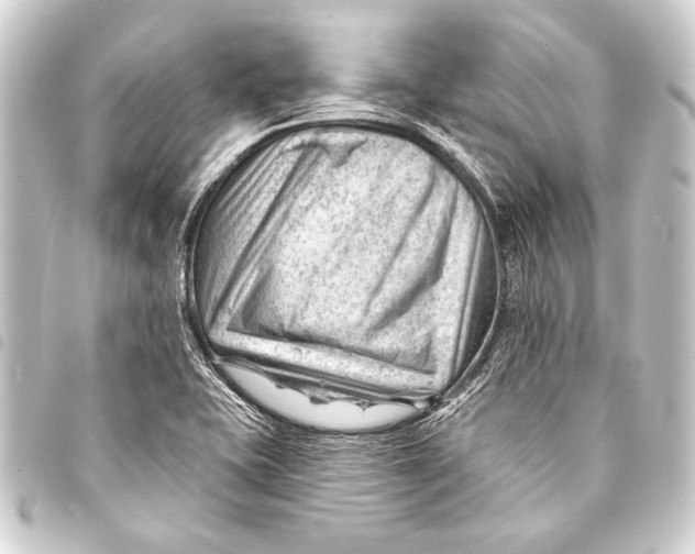 X0000093421415200711021006