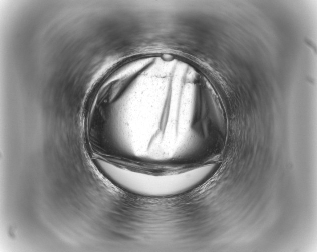 X0000093421416200711021006