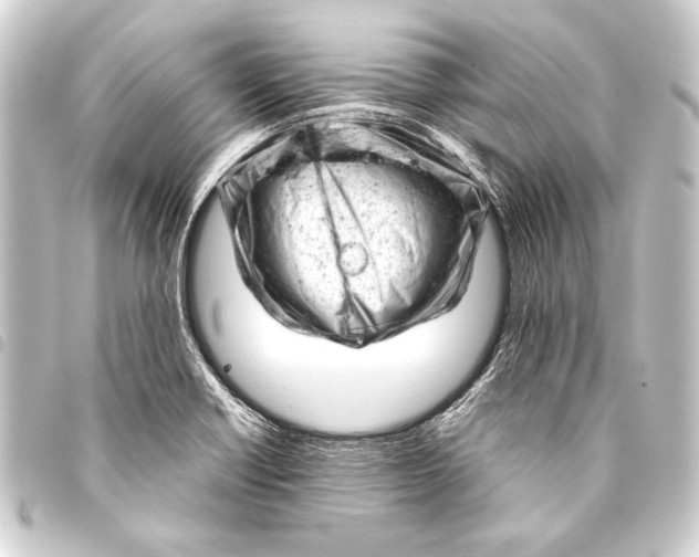 X0000093421418200711021006