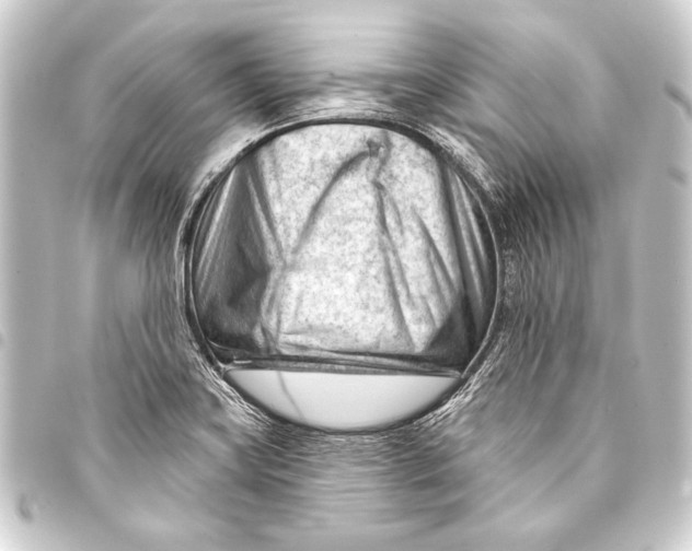 X0000093421419200711021006