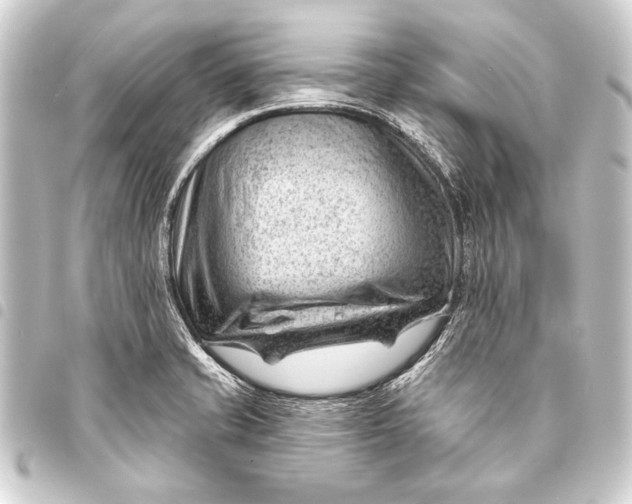 X0000093421421200711021006