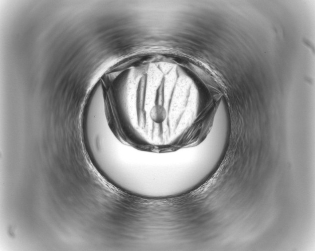 X0000093421422200711021006