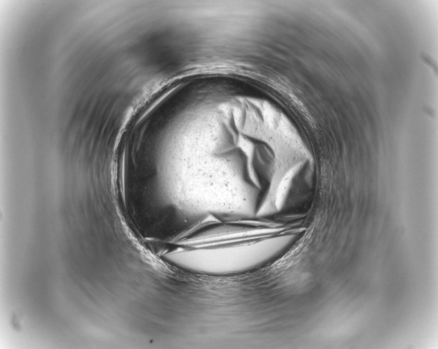 X0000093421424200711021006