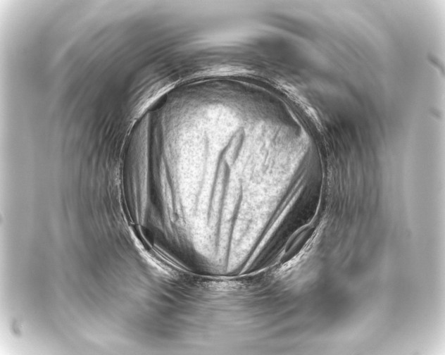 X0000093421425200711021006