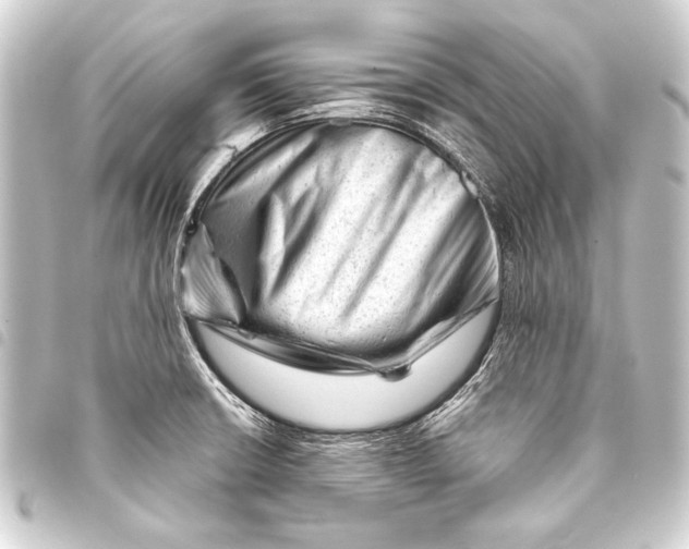 X0000093421426200711021006