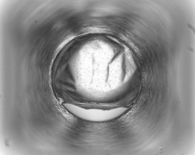 X0000093421427200711021006