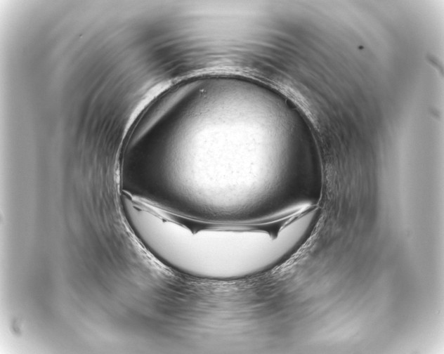 X0000093421428200711021006